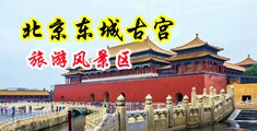嗯啊～你的鸡巴好大好粗好硬啊插得好深啊要肏坏了在线视频中国北京-东城古宫旅游风景区